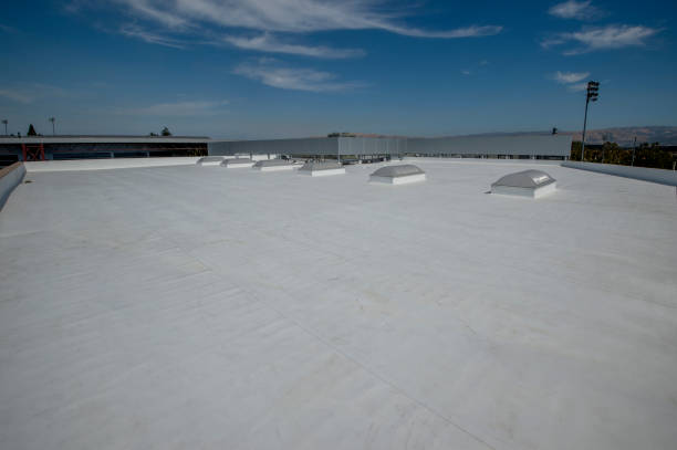 Best Chimney Flashing Repair  in Coldstream, OH